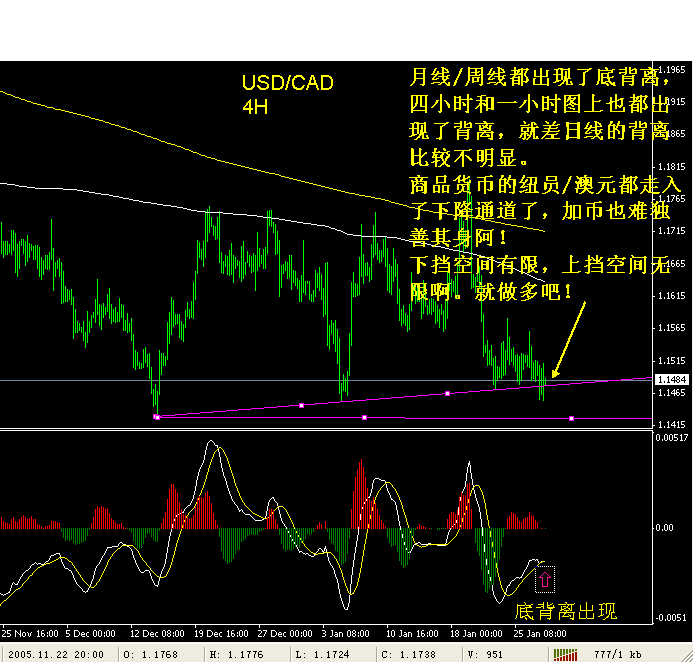 usdcad 4h-2.gif